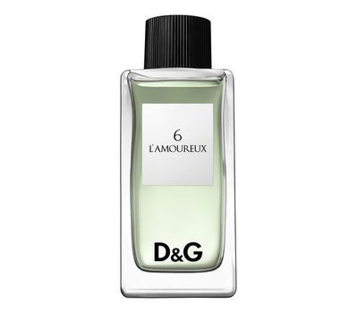 d&g lamoureux 6